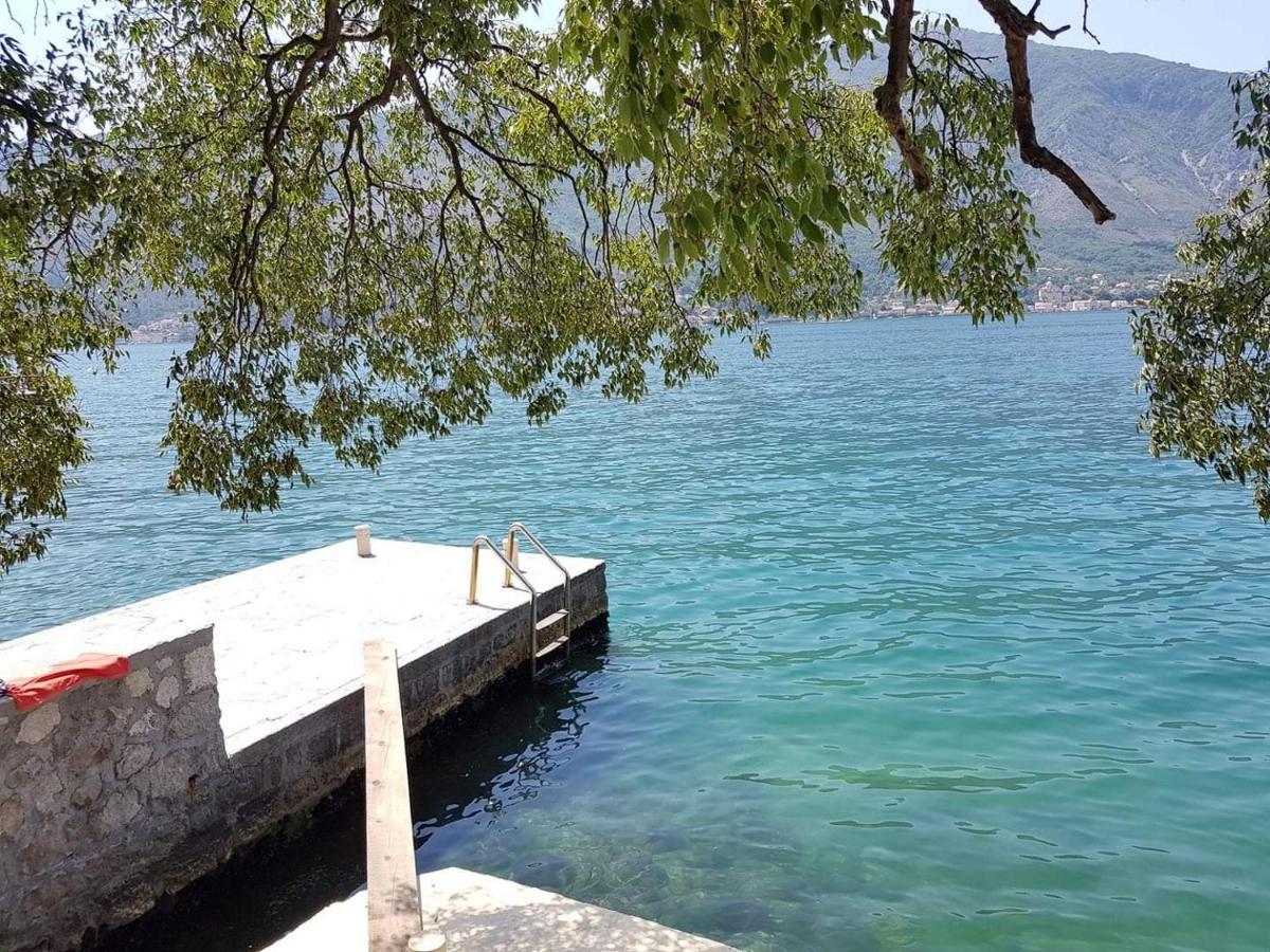 Apartment Montenegro - Private