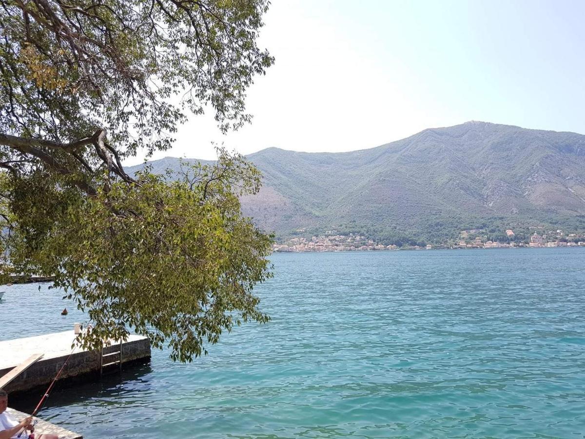 Montenegro - Private Apartment Kotor